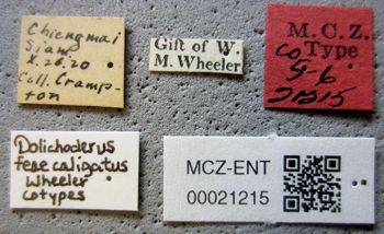 Media type: image;   Entomology 21215 Aspect: labels